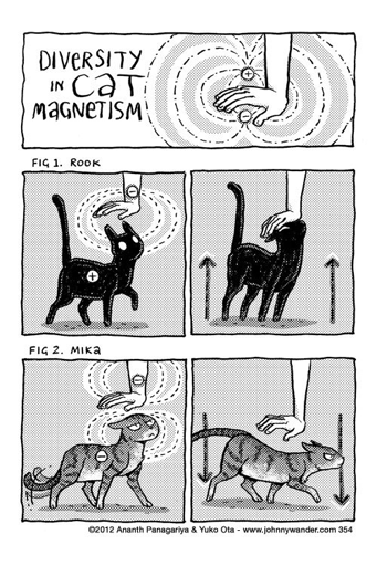 Comic titled "Diversity in Cat Magnetism." Fig 1. Rook is a cat being attracted up towards a petting hand, stretching up; Fig 2. Mika is being repulsed from a petting hand, bending down away from the hand.