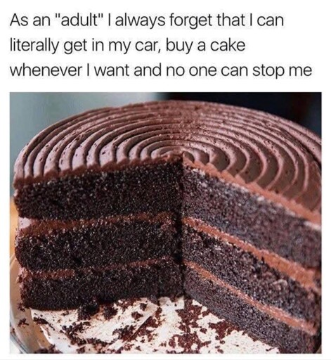 I'm living the dream!